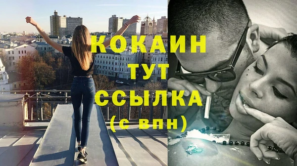 стаф Алзамай