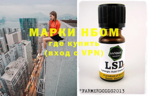 стаф Алзамай