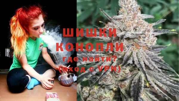 дмт Нягань