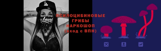 сатива Алексин