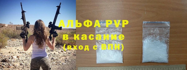 стаф Алзамай